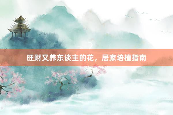 旺财又养东谈主的花，居家培植指南