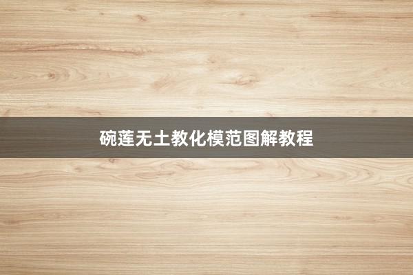 碗莲无土教化模范图解教程