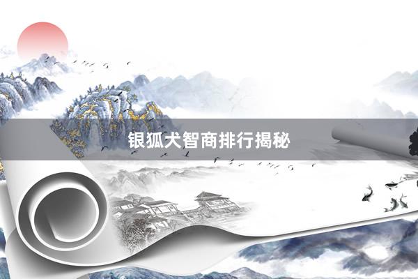 银狐犬智商排行揭秘