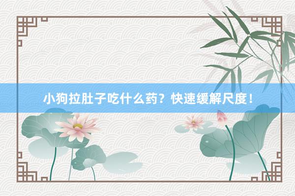 小狗拉肚子吃什么药？快速缓解尺度！